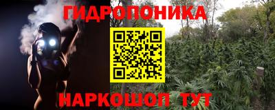 PSILOCYBIN Заводоуковск