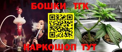 PSILOCYBIN Заводоуковск
