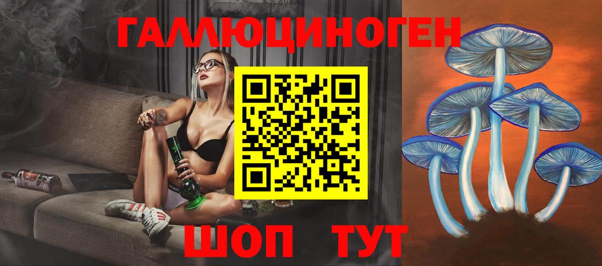 Псилоцибиновые грибы мицелий  Вход с VPN  Кунгур 